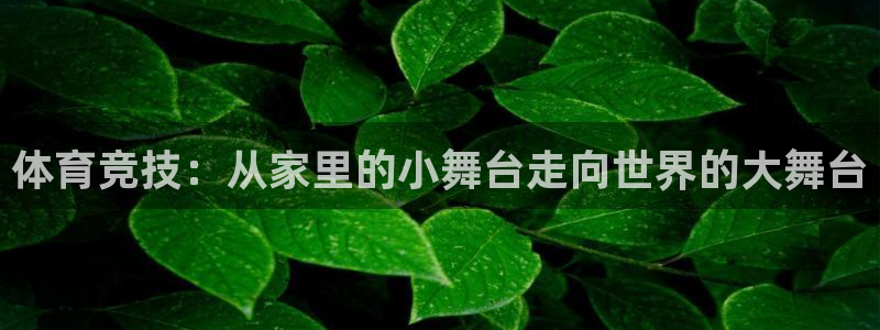 体育竞技：从家里的小舞台走向世界的大舞台