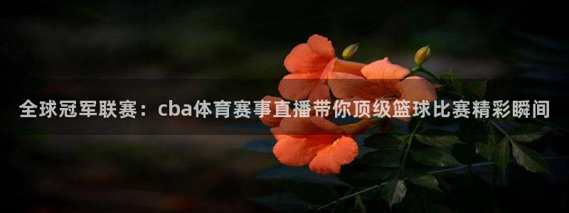 全球冠军联赛：cba体育赛事直播带你顶级篮球比赛精彩瞬间
