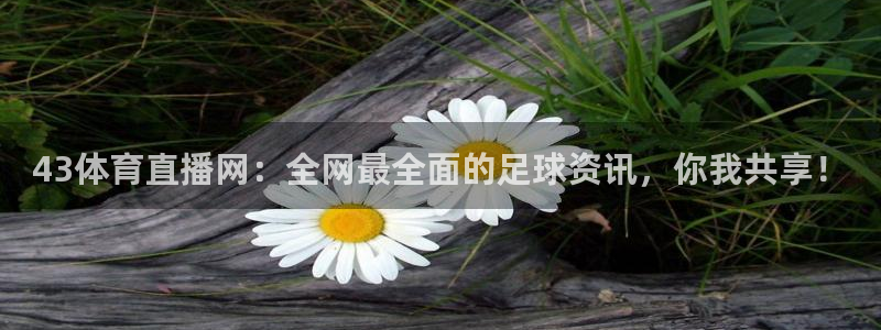 43体育直播网：全网最全面的足球资讯，你我共享！