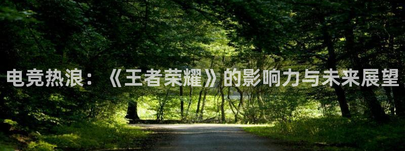 电竞热浪：《王者荣耀》的影响力与未来展望