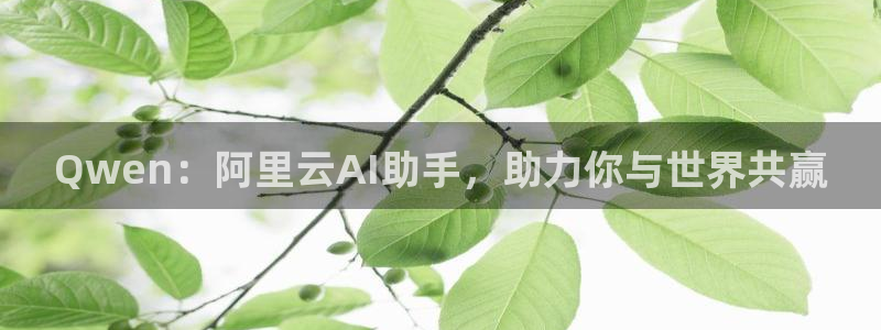 Qwen：阿里云AI助手，助力你与世界共赢