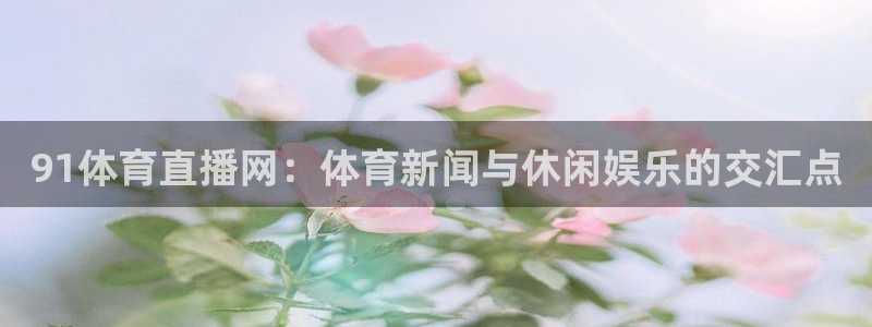 91体育直播网：体育新闻与休闲娱乐的交汇点