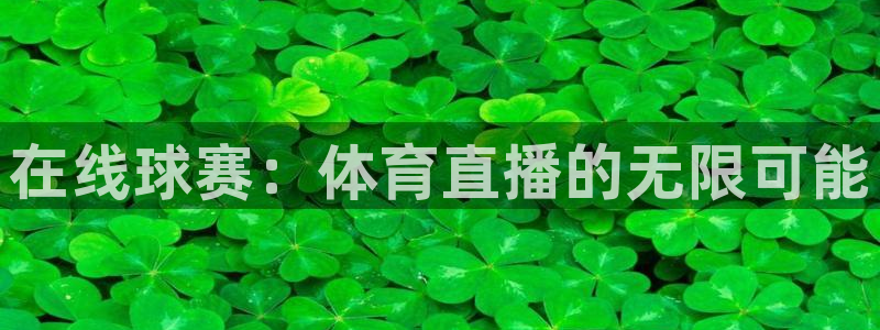 在线球赛：体育直播的无限可能