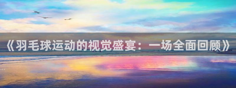 《羽毛球运动的视觉盛宴：一场全面回顾》