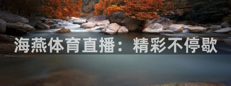 海燕体育直播：精彩不停歇