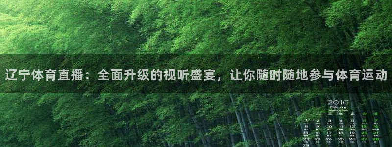 辽宁体育直播：全面升级的视听盛宴，让你随时随地参与体育运动