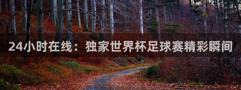 24小时在线：独家世界杯足球赛精彩瞬间