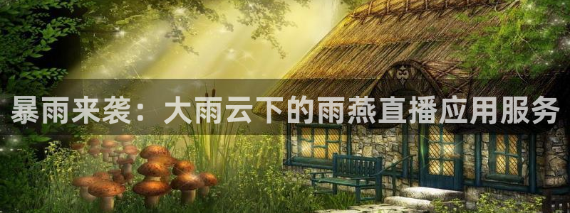 暴雨来袭：大雨云下的雨燕直播应用服务