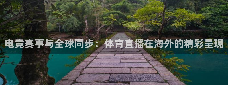 电竞赛事与全球同步：体育直播在海外的精彩呈现