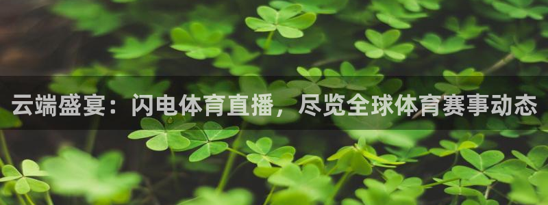 云端盛宴：闪电体育直播，尽览全球体育赛事动态