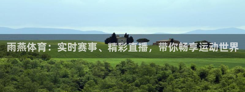 雨燕体育：实时赛事、精彩直播，带你畅享运动世界