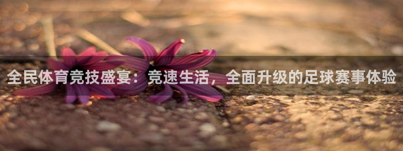 全民体育竞技盛宴：竞速生活，全面升级的足球赛事体验