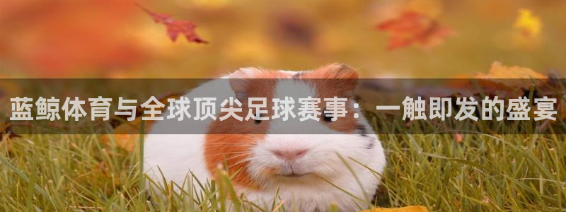 蓝鲸体育与全球顶尖足球赛事：一触即发的盛宴