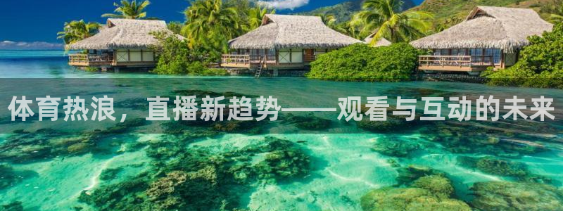 体育热浪，直播新趋势——观看与互动的未来