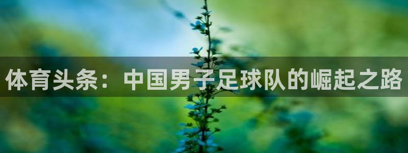 体育头条：中国男子足球队的崛起之路