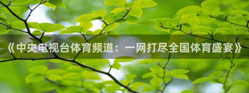 《中央电视台体育频道：一网打尽全国体育盛宴》