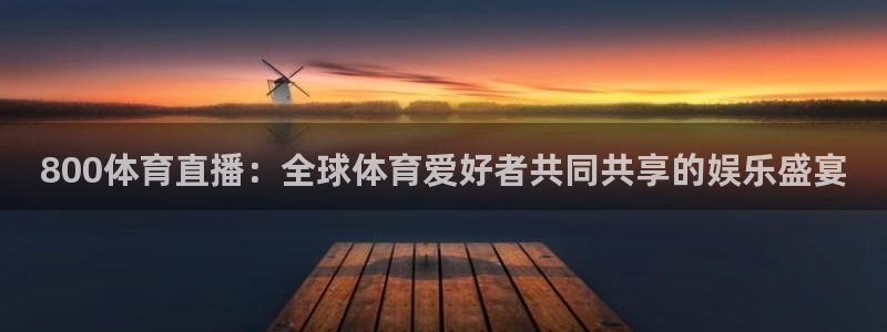 800体育直播：全球体育爱好者共同共享的娱乐盛宴