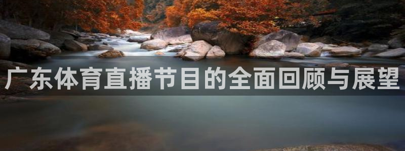 广东体育直播节目的全面回顾与展望