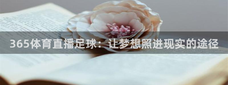 365体育直播足球：让梦想照进现实的途径