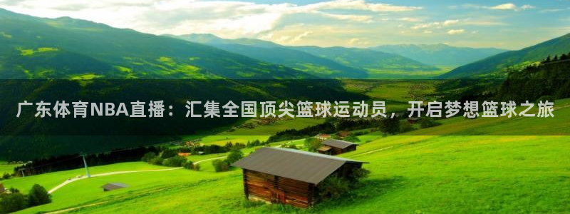 广东体育NBA直播：汇集全国顶尖篮球运动员，开启梦想篮球之旅