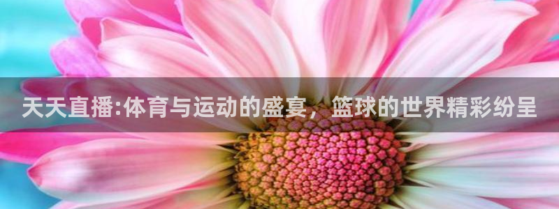 天天直播:体育与运动的盛宴，篮球的世界精彩纷呈