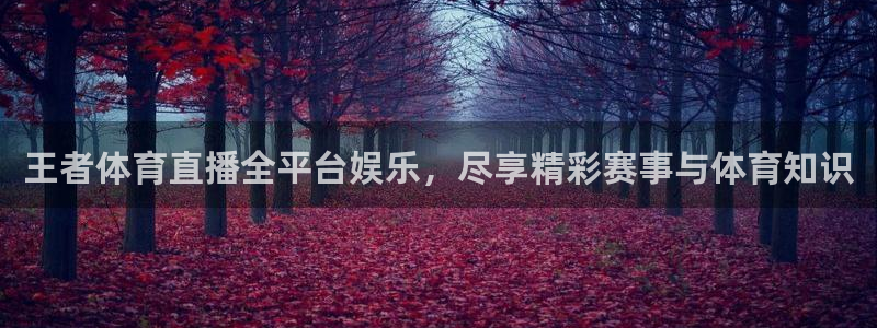 王者体育直播全平台娱乐，尽享精彩赛事与体育知识