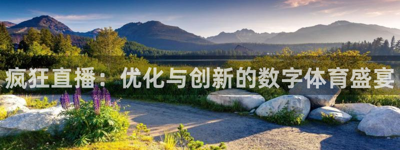 疯狂直播：优化与创新的数字体育盛宴