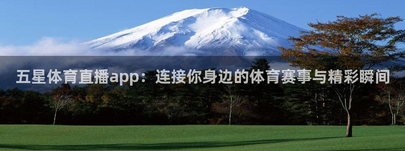 五星体育直播app：连接你身边的体育赛事与精彩瞬间