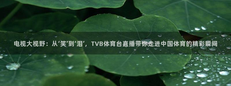 电视大视野：从‘笑’到‘泪’，TVB体育台直播带你走进中国体育的精彩瞬间