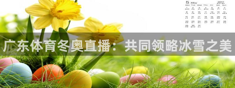 广东体育冬奥直播：共同领略冰雪之美