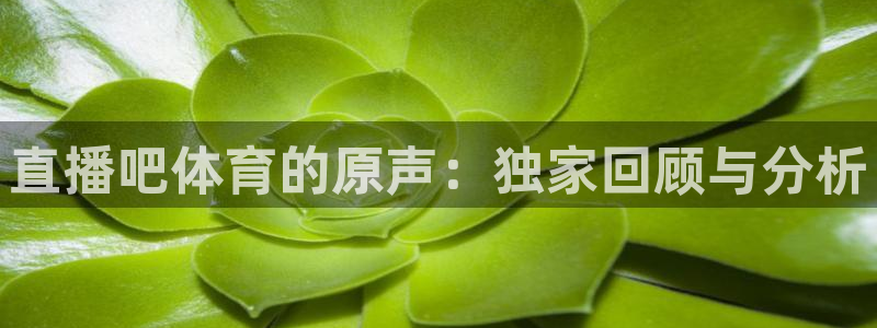 直播吧体育的原声：独家回顾与分析