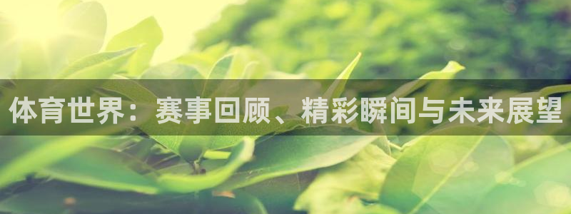 体育世界：赛事回顾、精彩瞬间与未来展望