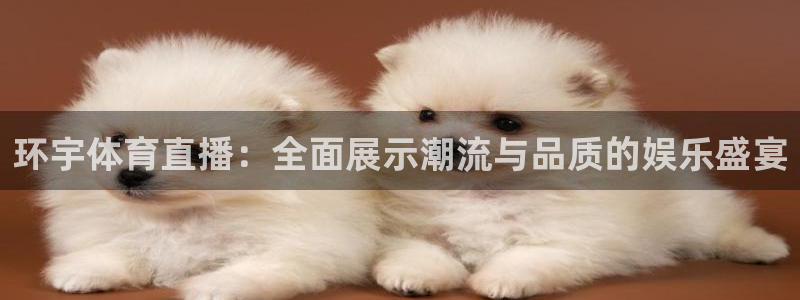 环宇体育直播：全面展示潮流与品质的娱乐盛宴