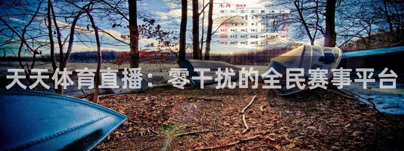 天天体育直播：零干扰的全民赛事平台