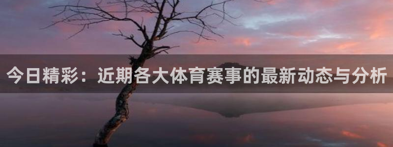 今日精彩：近期各大体育赛事的最新动态与分析