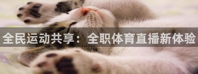全民运动共享：全职体育直播新体验