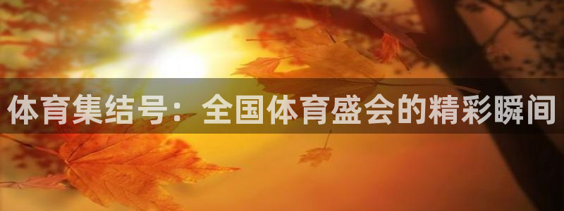 体育集结号：全国体育盛会的精彩瞬间