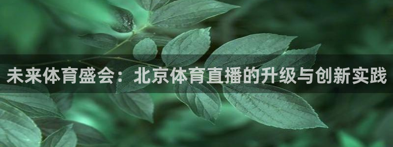 未来体育盛会：北京体育直播的升级与创新实践