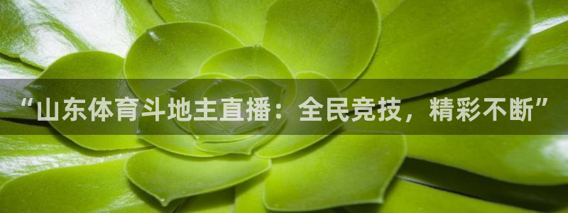 “山东体育斗地主直播：全民竞技，精彩不断”