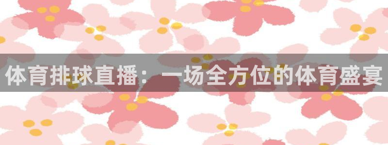 体育排球直播：一场全方位的体育盛宴