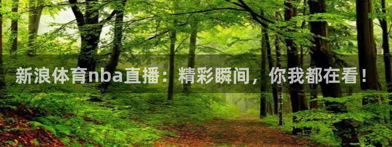 新浪体育nba直播：精彩瞬间，你我都在看！