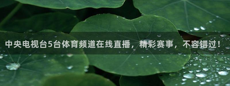 中央电视台5台体育频道在线直播，精彩赛事，不容错过！